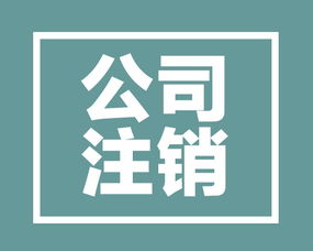 小規(guī)模納稅人企業(yè)注銷流程詳解與代辦電信業(yè)務注意事項