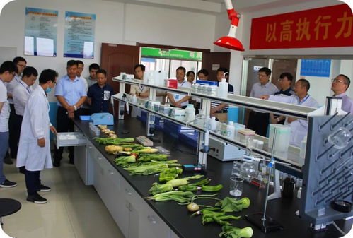 省食品安全快速檢測(cè)信息采集座談會(huì)在徐州雨潤公司圓滿舉行